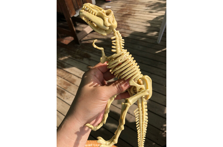 考古霸王龙拼装益智玩具骨架早教化石罐头恐龙挖掘