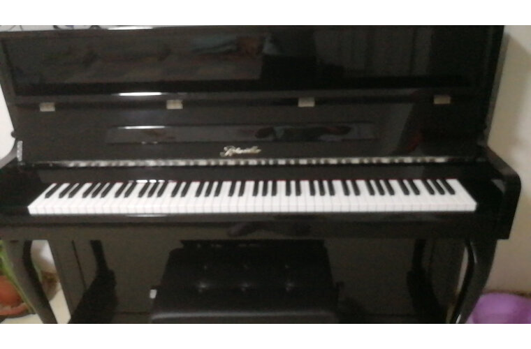 很想知道珠江钢琴里特米勒德国钢琴ritmiillerj1u怎么样独家揭秘评测