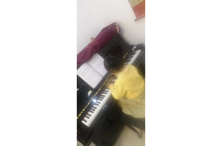 真实曝光BRUNO德国布鲁诺UP122怎么样?独家揭秘评测真相,