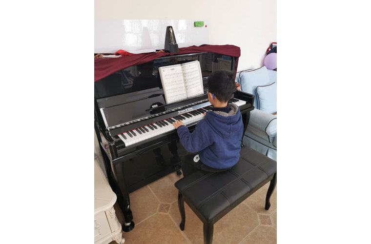 真实曝光BRUNO德国布鲁诺UP122怎么样?独家揭秘评测真相,