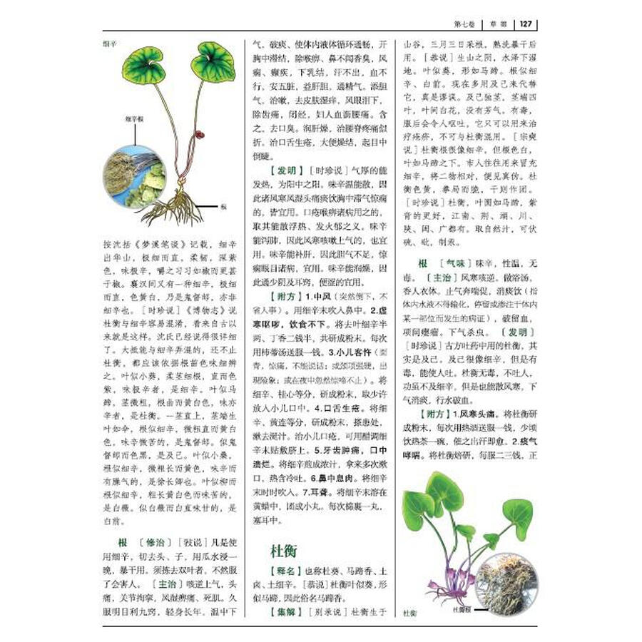 本草纲目(白话彩图典藏本)