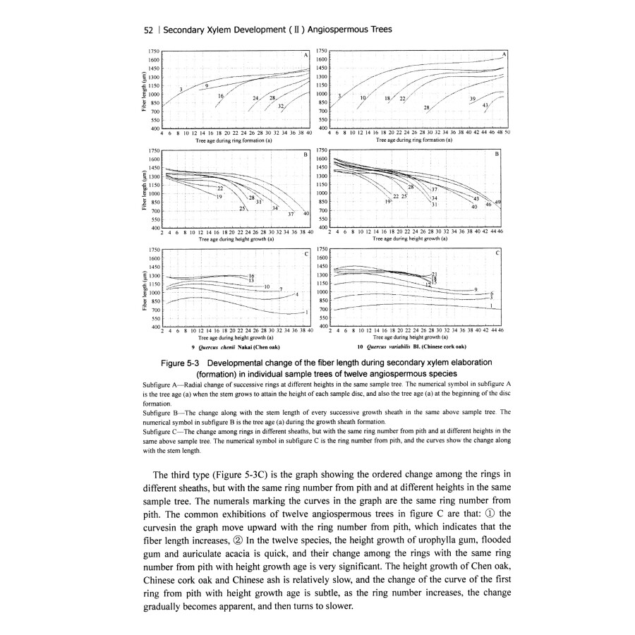 Sample pages of An Important Part of Wood Formation Mechanism Secondary Xylem Development（2）Angiospermous Trees（Original Research） (ISBN:9787030571519)