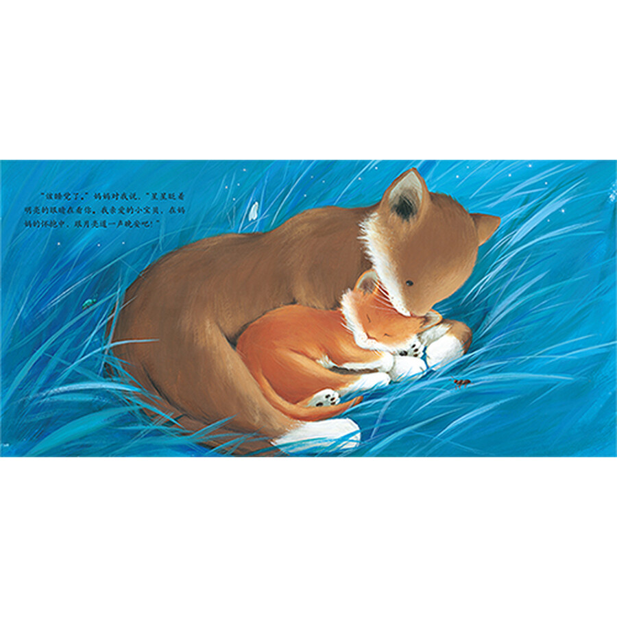 暖房子经典绘本系列第一辑亲情篇(套装共6册)