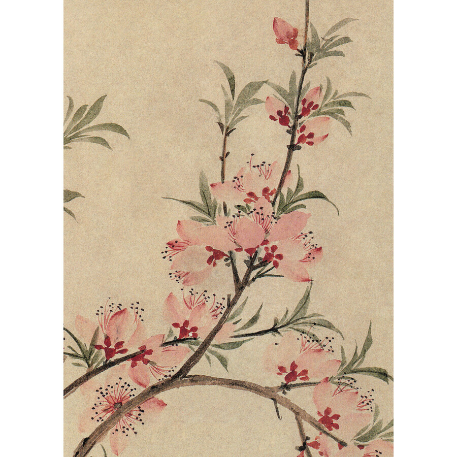 中国古典绘画中的最美花卉:如画四季