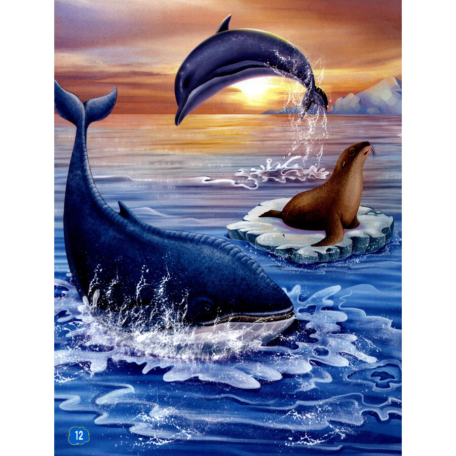 小笨熊生态文学儿童读物·动物童话百科绘本:蓝鲸历险记