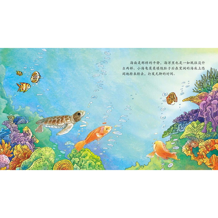 海洋科普绘本(套装全8册)