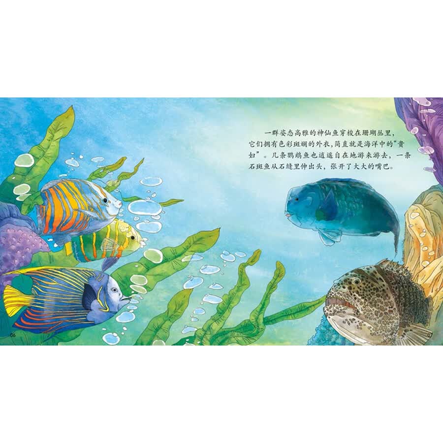 海洋科普绘本(套装全8册)