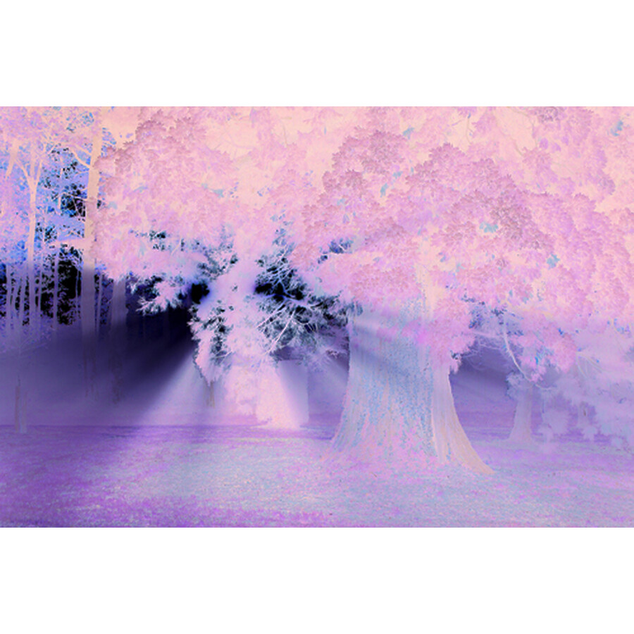 山丘上的修道院:勒·柯布西耶的最后风景