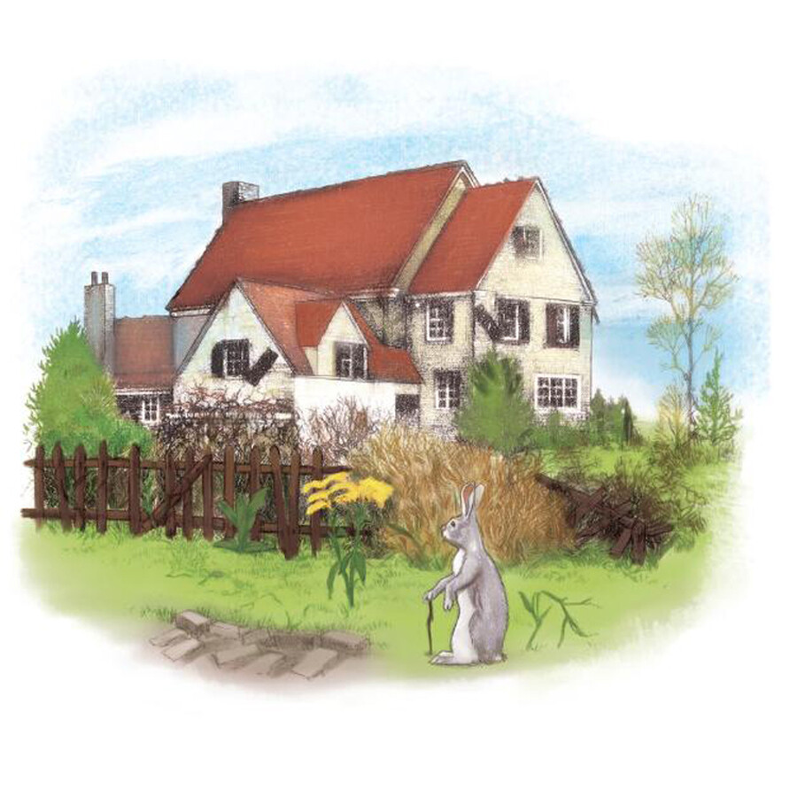 兔子坡/夏洛书屋 美绘版