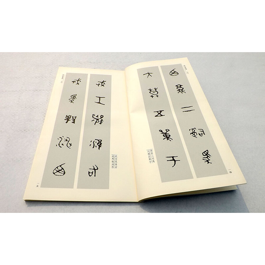 中国历代经典碑帖集联系列:新编散氏盘集联