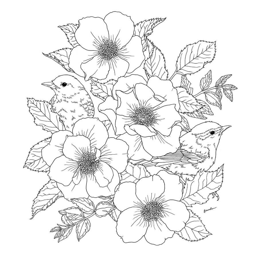 秘密花园涂绘学院丛书:花鸟乐园