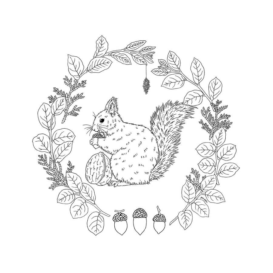 秘密花园涂绘学院丛书:花鸟乐园