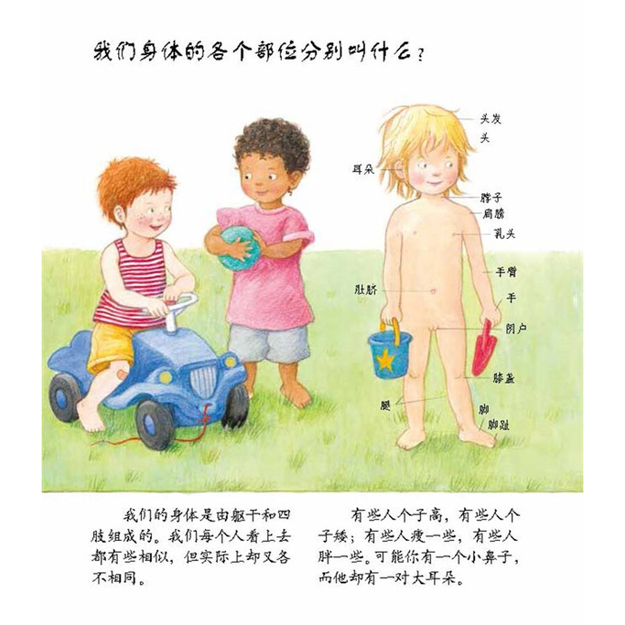 童书 科普/百科 妙趣科学幼儿版:生活类(套装共10册)
