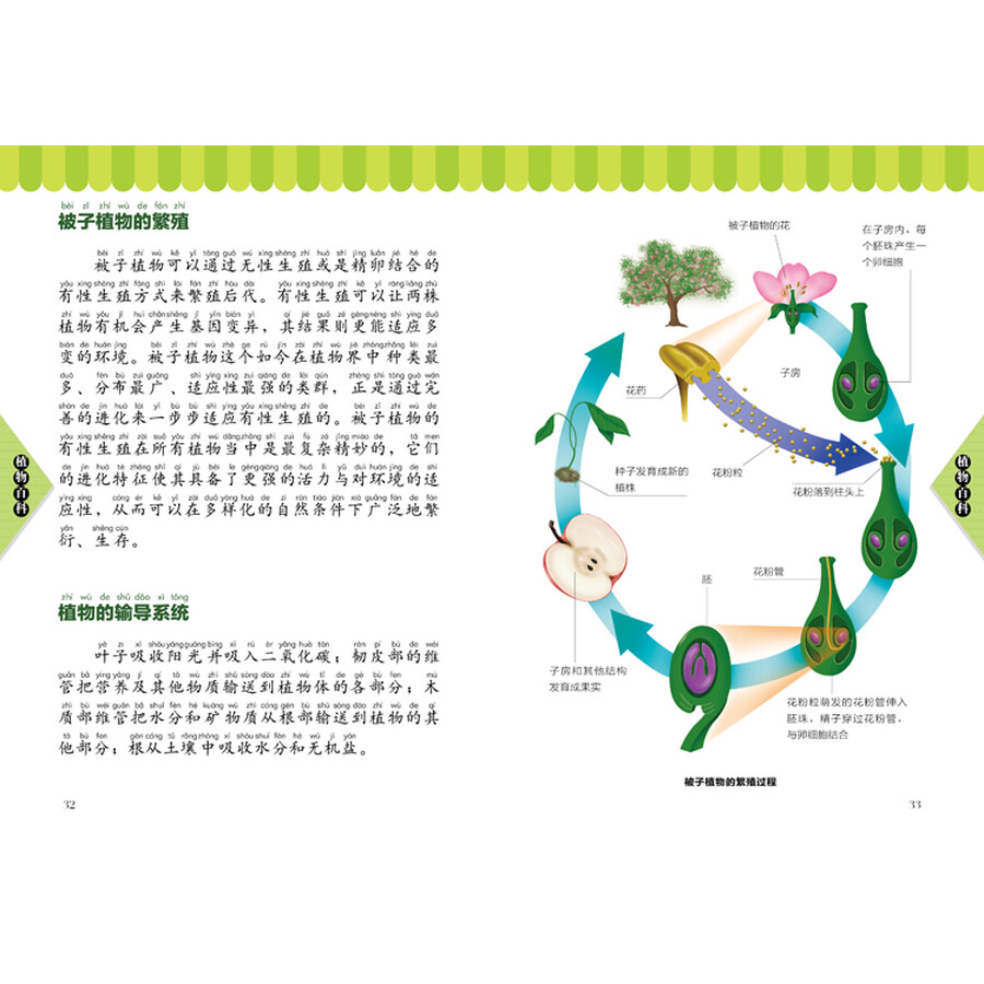 植物百科(儿童注音版)