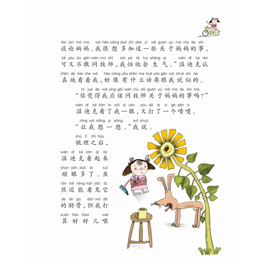 国际大奖小说注音版(套装共10册)