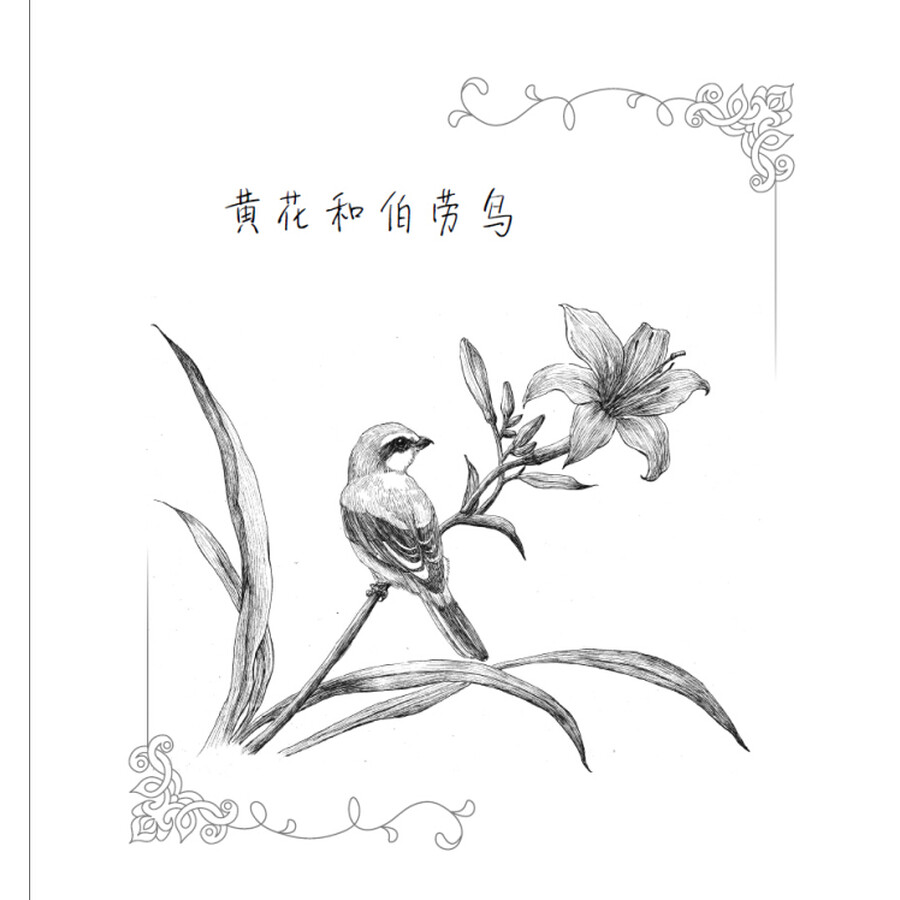 绘画 绘画技法 鸟与花香 88种经典黑白花鸟绘