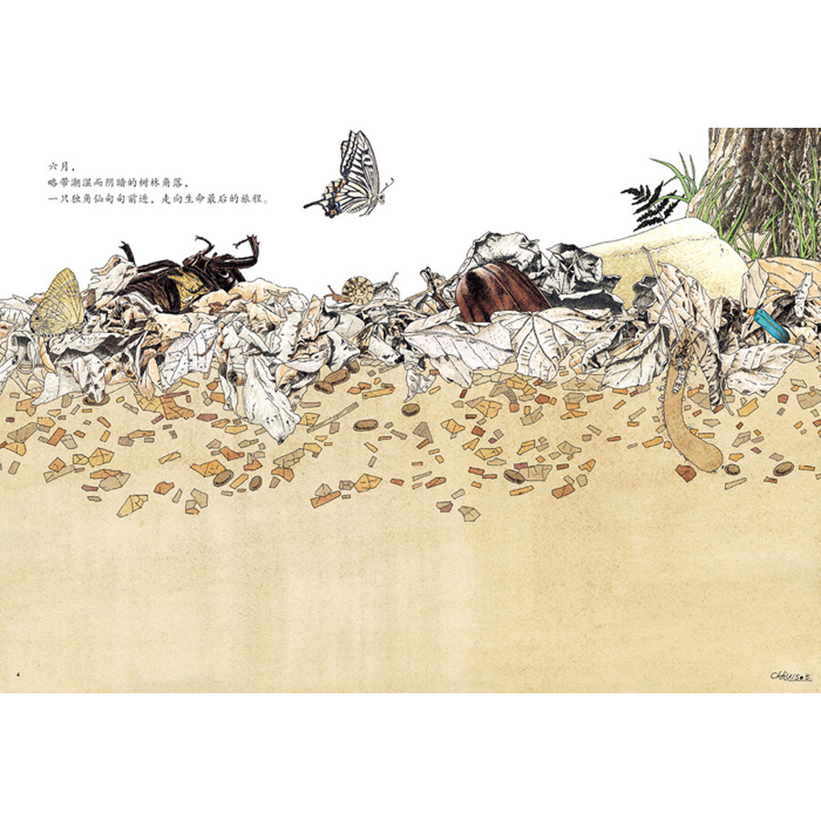 童书 绘本 耕林童书馆:地面地下   台湾生态绘本画家.