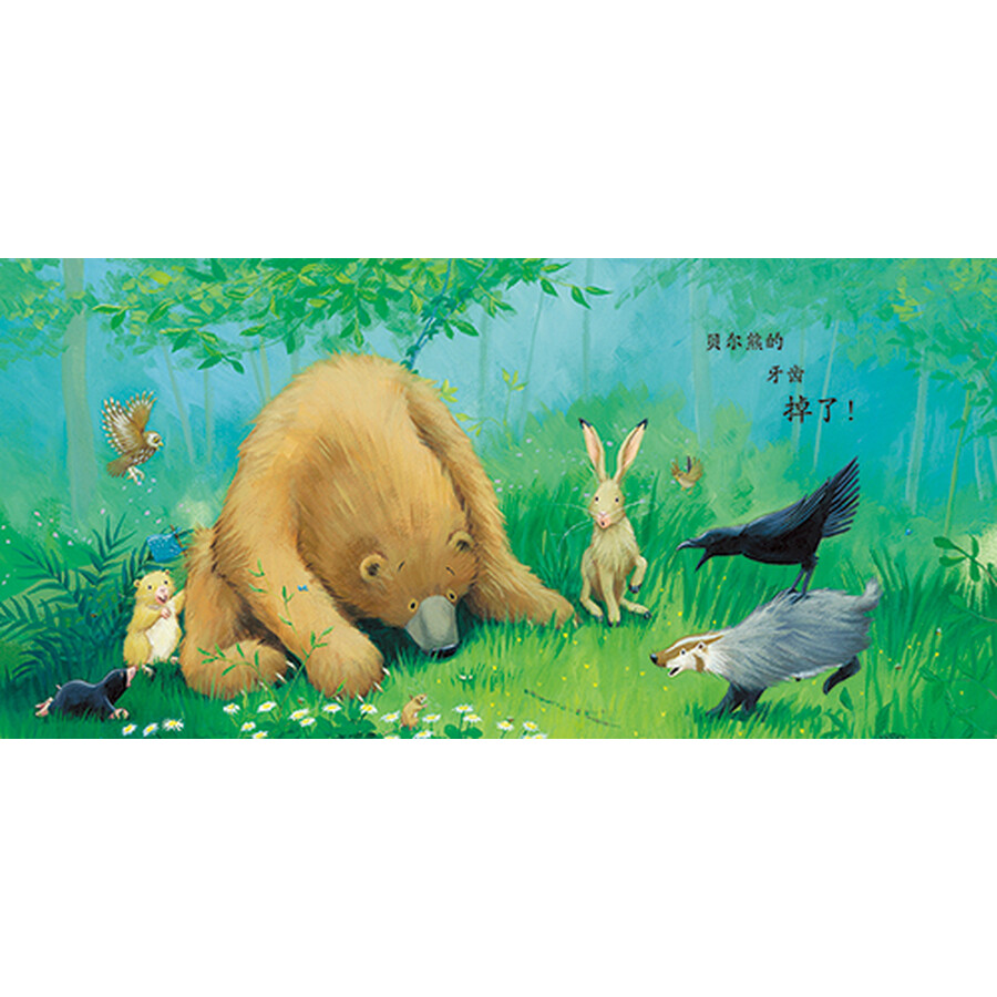 《暖房子经典绘本系列第七辑贝尔熊(套装共8册)》([美]卡玛·威尔逊)