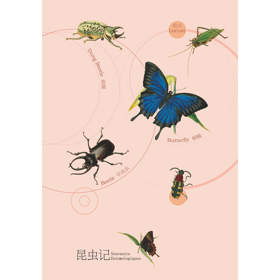 昆虫记(插图典藏版)-"慢读"系列