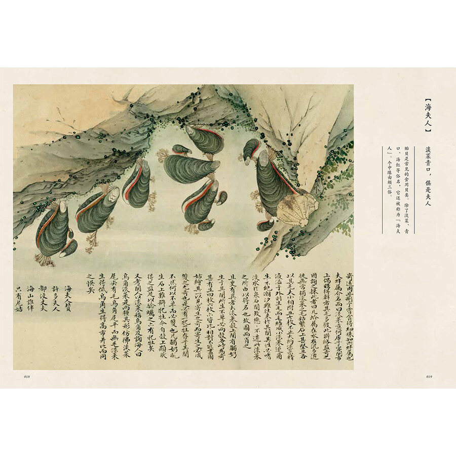 中国国家地理 海错图笔记