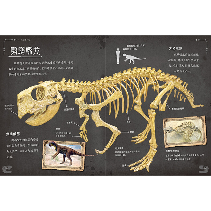 《惊人的骨头 消失的恐龙》(罗布·科尔森)【摘要 书评 试读】- 京东