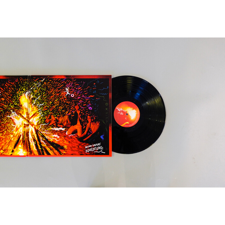 后海大鲨鱼 《心要野》 双碟黑胶唱片(lp)摩登天空发行