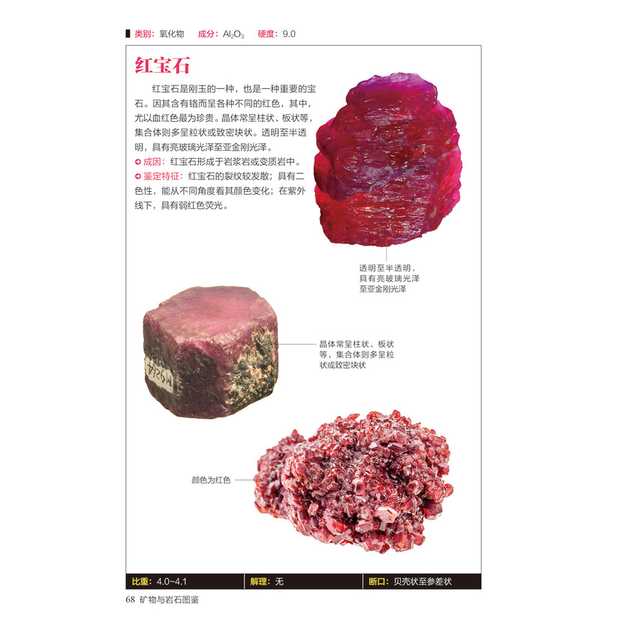 矿物与岩石图鉴