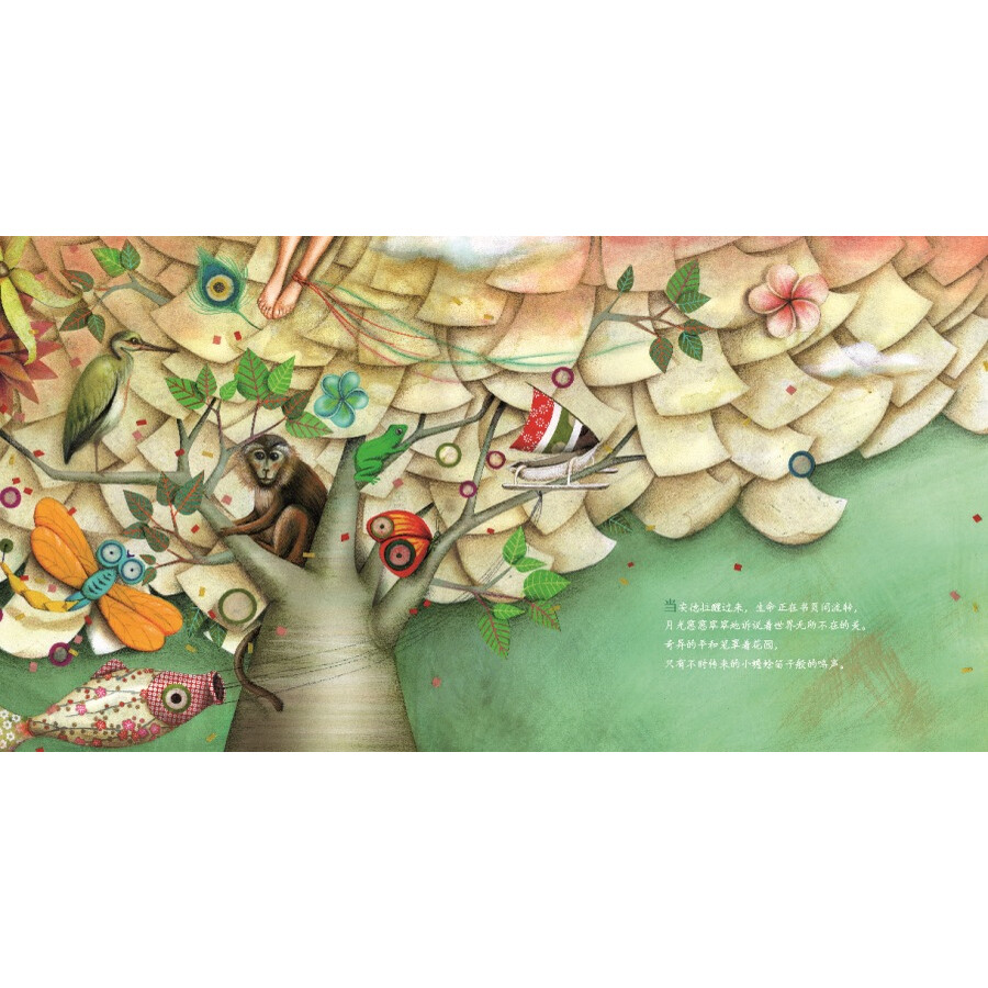 大师纯美绘本系列:无字书