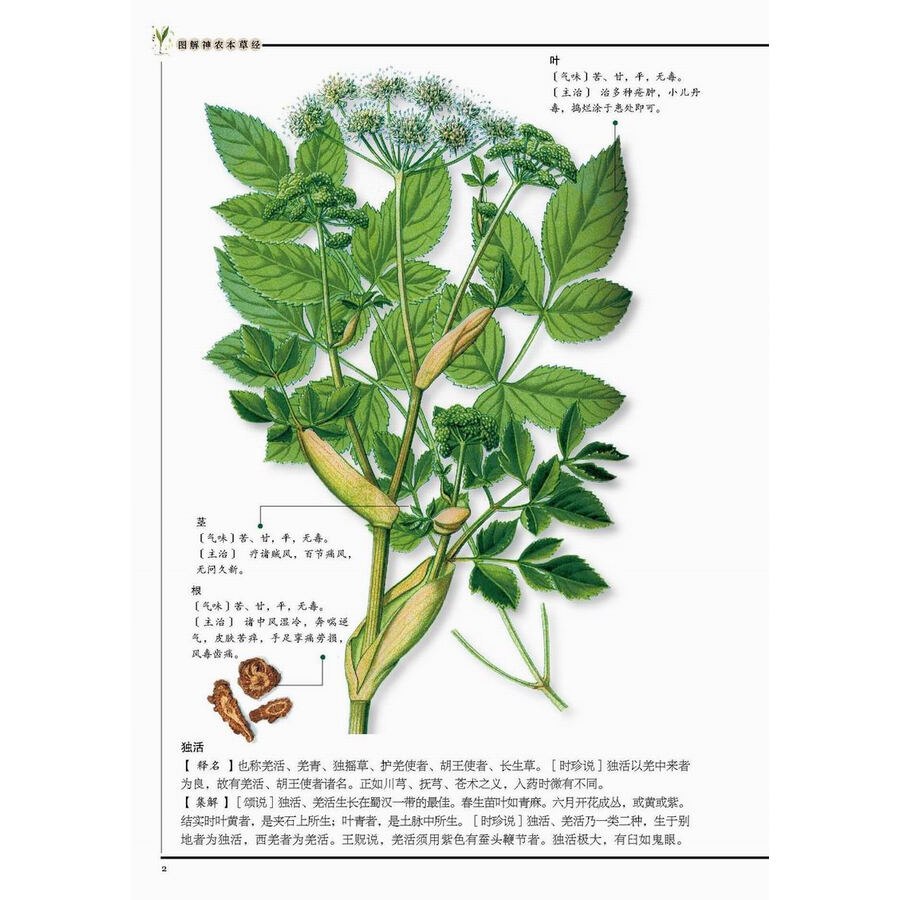 图解神农本草经
