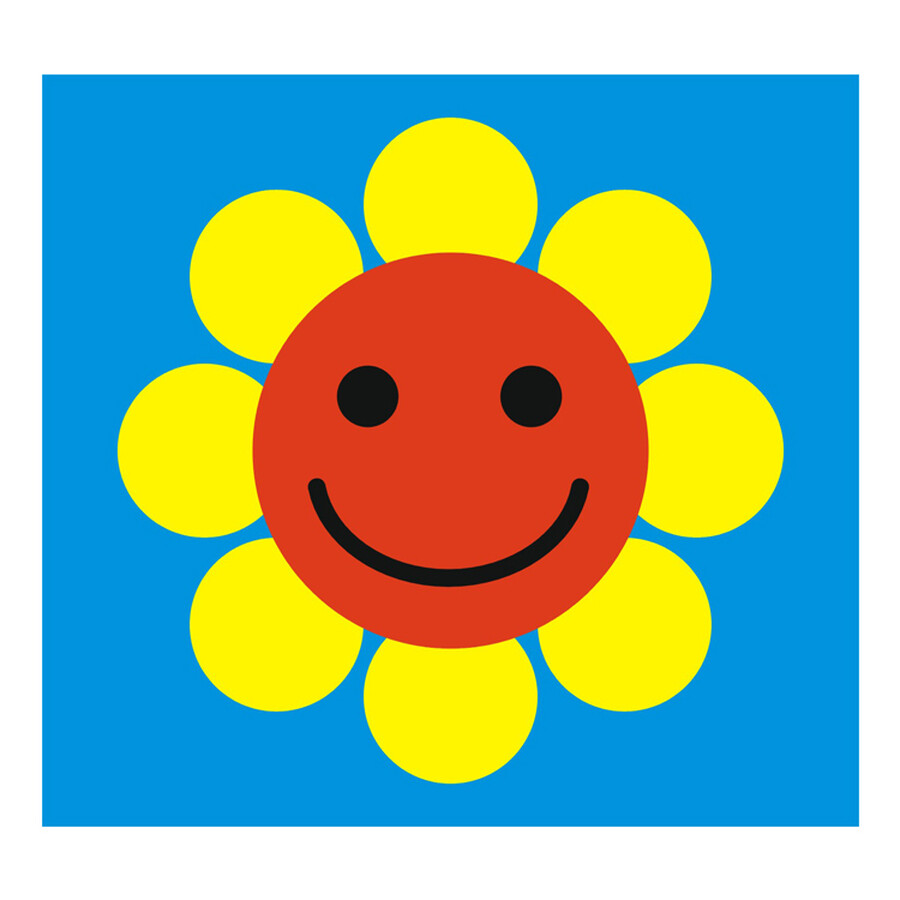 阳光宝贝 初生婴儿视觉激发卡:黑白卡(0～12个月) 彩色卡(6～18个月)