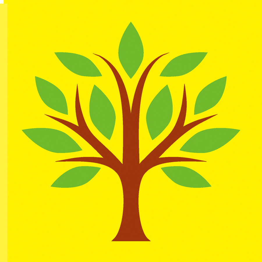 婴幼儿视觉激发卡:彩色卡