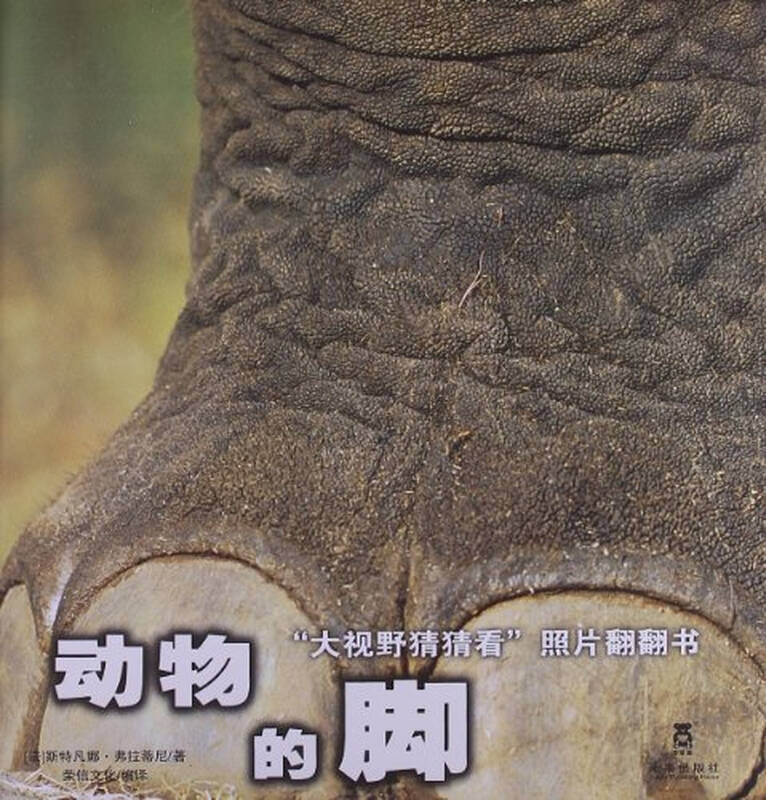 动物的脚大视野猜猜看照片翻翻书
