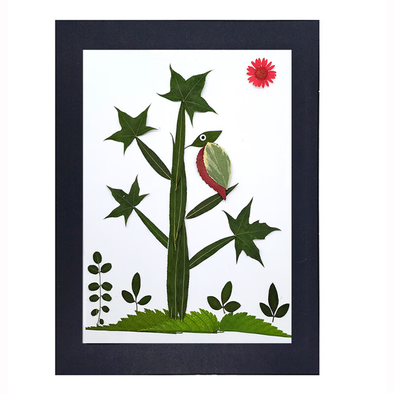 幼儿园小学生手工课粘贴画活动真树叶标本diy儿童创意材料包 孔雀材料