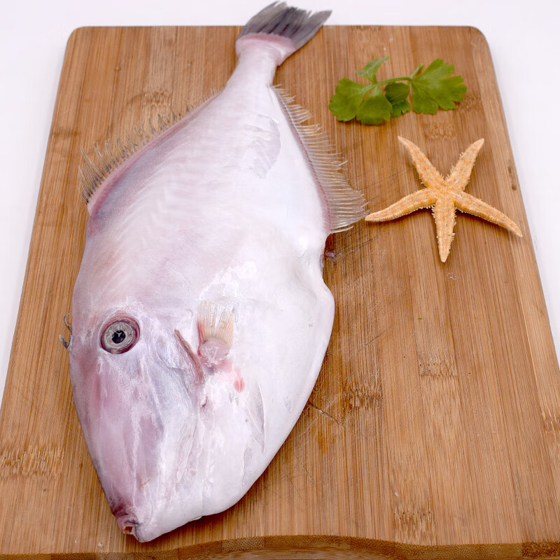 十里馋舟山新鲜大耗儿鱼500g大剥皮鱼橡皮鱼马面鱼
