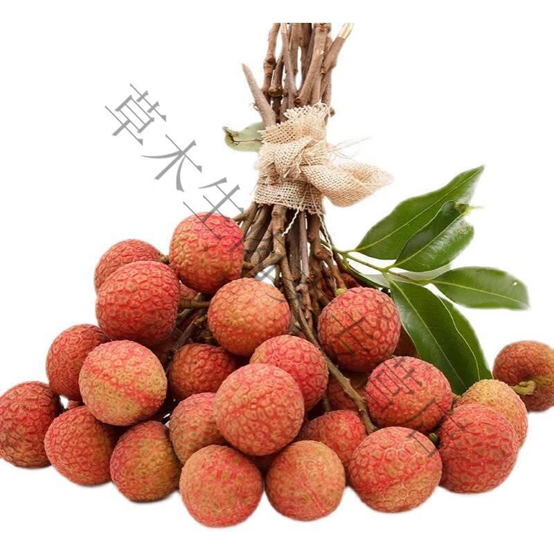 青樱红荔荔枝水果大果甜妃子笑冰冻好吃冷链水果现货新鲜2斤