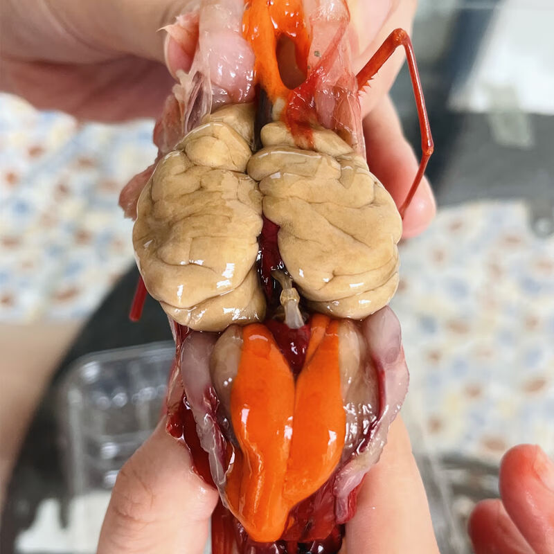 红魔虾鲜活船冻包膏包肉刺身网红大虾冷冻绯红刺身虾胭脂西班牙魔鬼虾