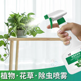 室内植物除虫型号规格 京东 室内植物除虫型号规格 京东
