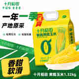 十月稻田 【2024 新玉米上市】东北玉米 鲜食黄糯玉米 1.32kg*1袋 220g*6根