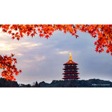 三潭印月型号规格- 京东