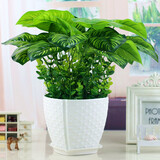 会议桌花艺新款 会议桌花艺21年新款 京东