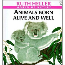 animals