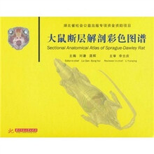 大鼠解剖图谱品牌及商品 京东