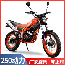 魔术师250价格报价行情 京东