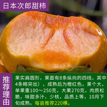 富有甜柿价格报价行情 京东