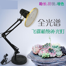 植物花卉台灯价格报价行情 京东