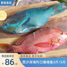 海产种类型号规格 京东