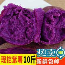 板栗紫山芋价格报价行情 京东