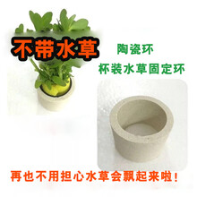 固定水草图片 京东 固定水草图片 京东