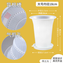 塑料透明花盆新款 塑料透明花盆21年新款 京东 塑料透明花盆新款 塑料透明花盆21年新款 京东
