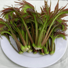 红菜苔种子品牌及商品 京东